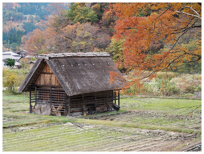 Barn