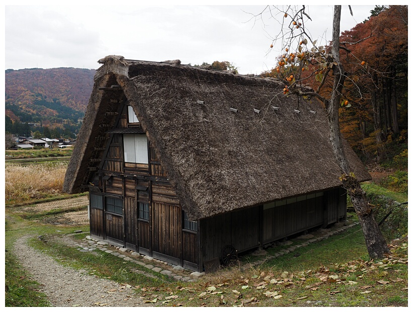 Gassho-zukuri House