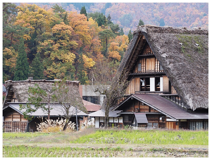 Shirakawa-go