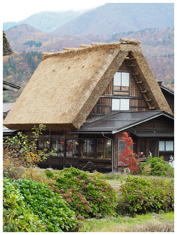 Tatched Roof