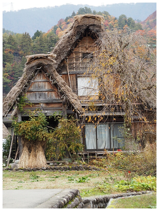 Ogimachi Village