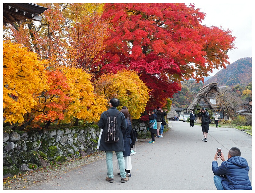 Autumn Colors