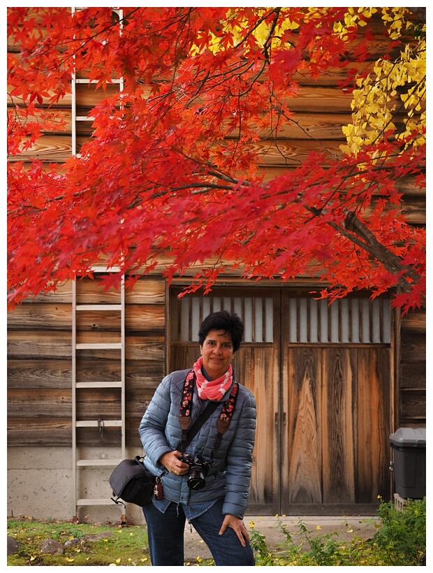 Red Leaves