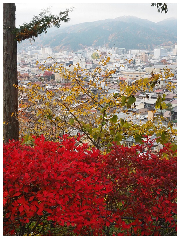 Takayama View