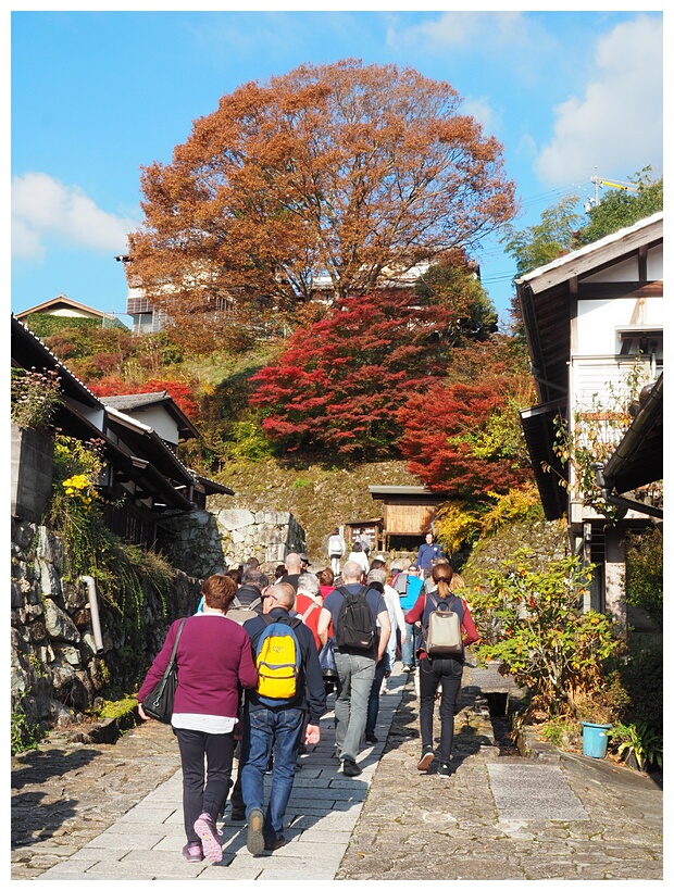 Kiso Valley Tour