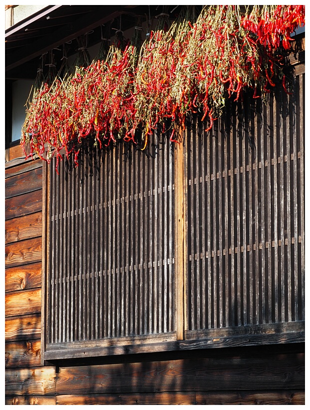 Chili Drying