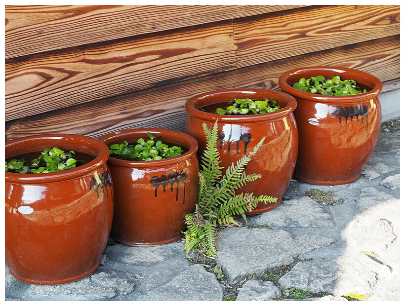 Ceramic Pots