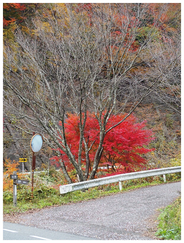 Nakasendo Trail