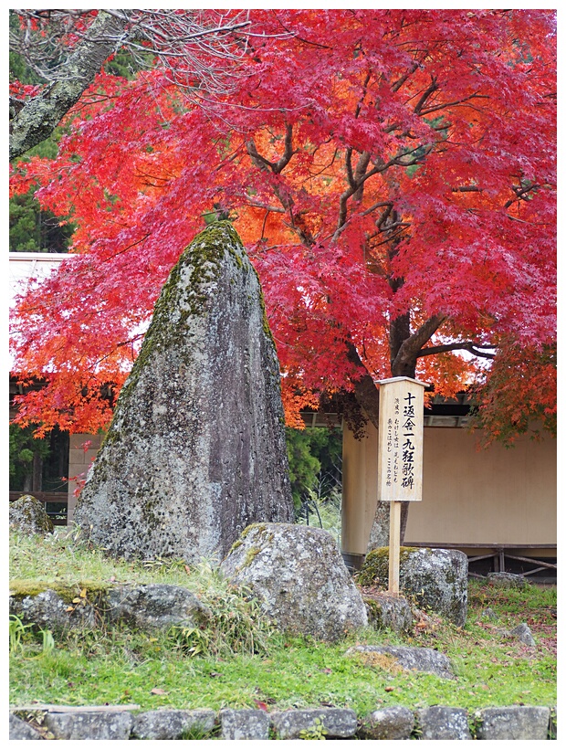 Japanese Autumn