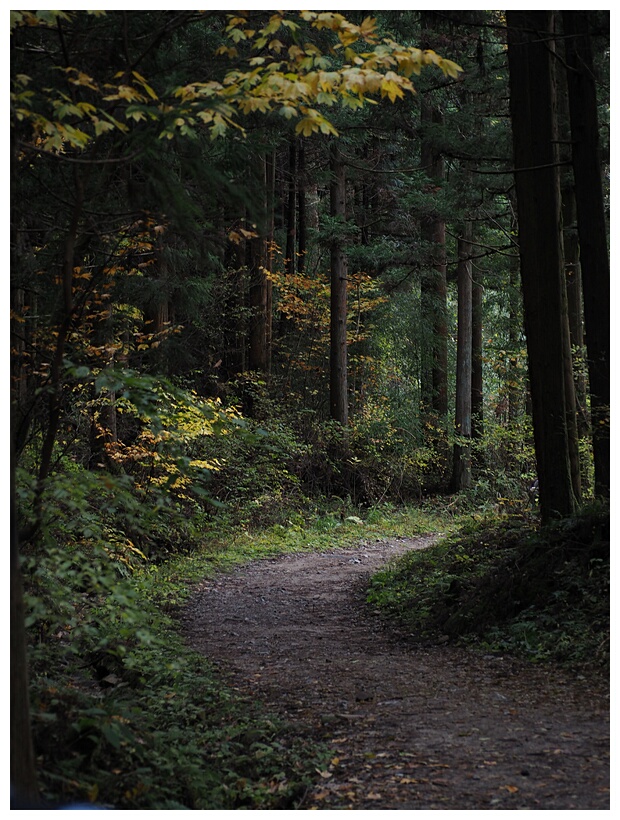 Nakasendo Trail