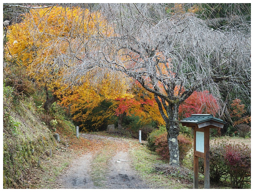 Nakasendo Trail