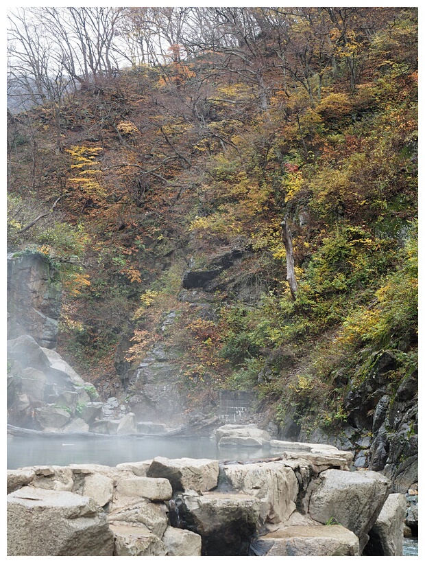 Jigokudani Monkey Park