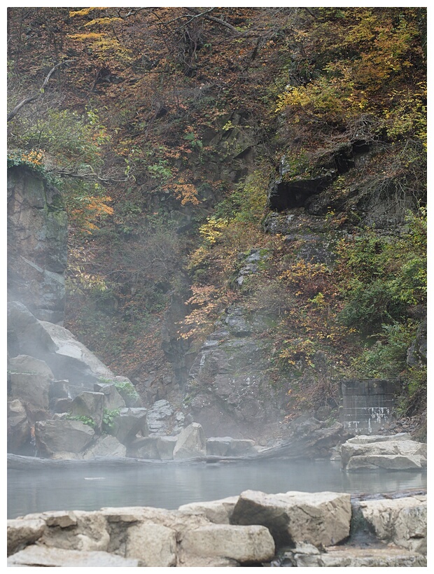 Jigokudani Monkey Park