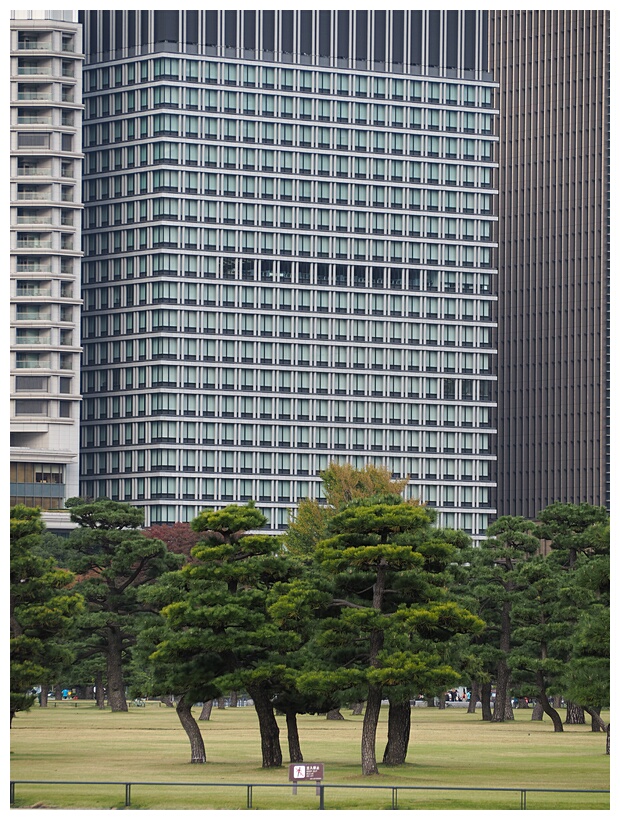 Kokyo Gaien National Gardens