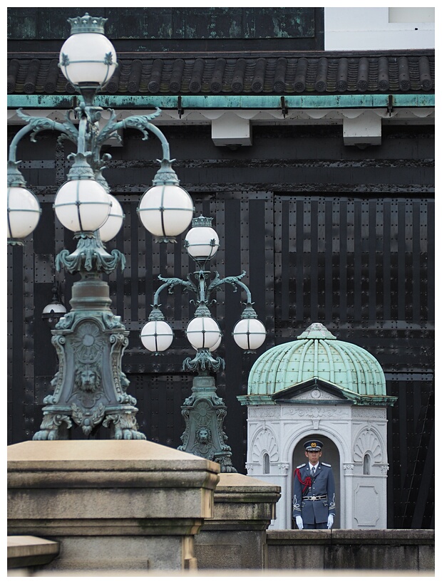 Imperial Palace Guard