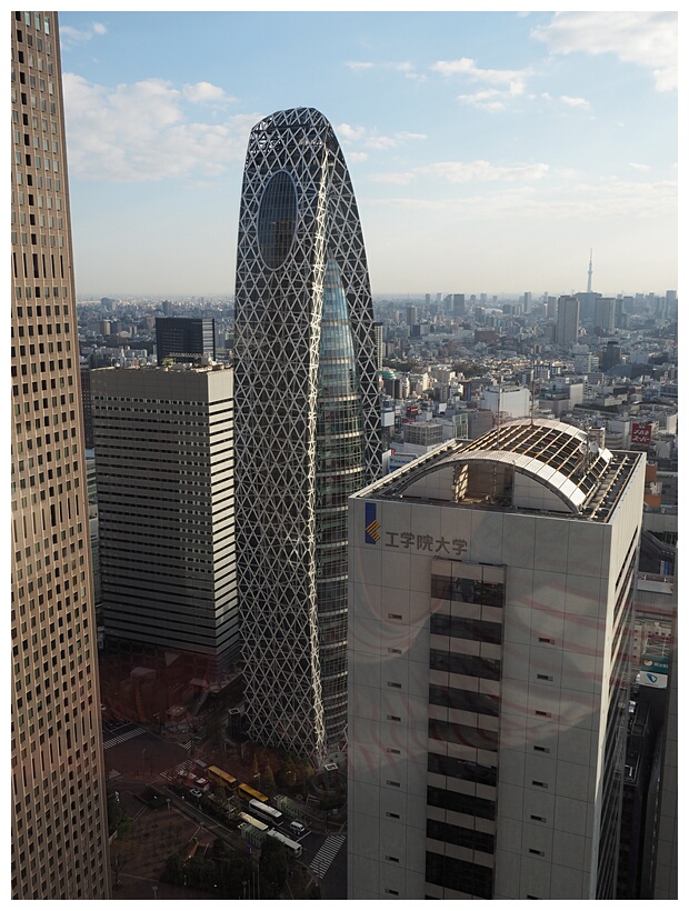 Shinjuku Skyscrapers