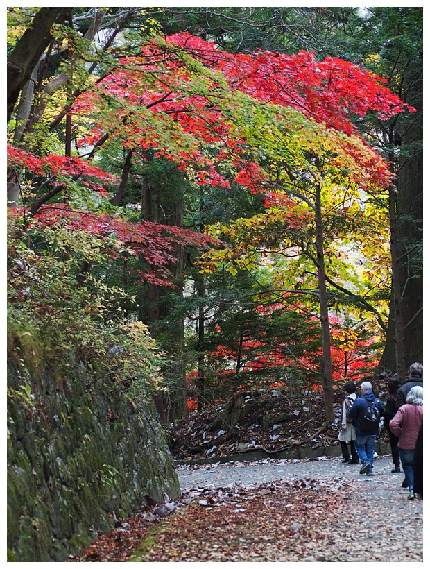 Nikko