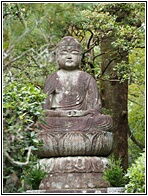 Buddha Image