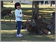 Nara Park