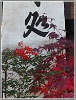 Takayama