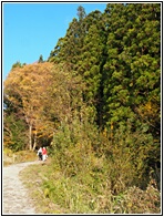 Nakasendo Trail