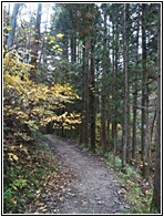 Nakasendo Trail