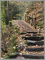 Nakasendo Trail