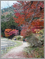 Nakasendo Trail