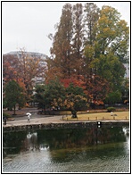 Matsumoto Castle