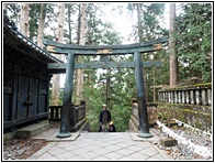 Torii Gate