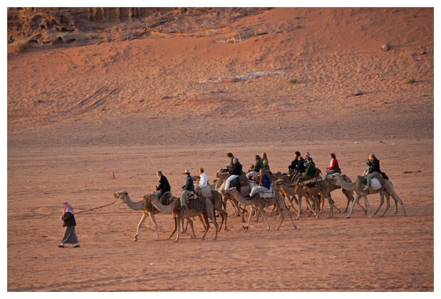 Camel Travel