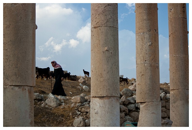 Shepherd among Ruins