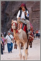 Camel Rider