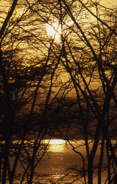 Nakuru Sunset