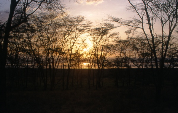 Nakuru Sunset