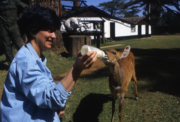 Feeding a Baby