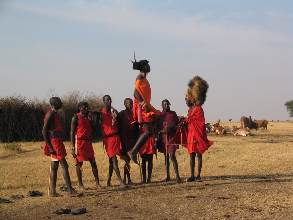 Maasai Warriors