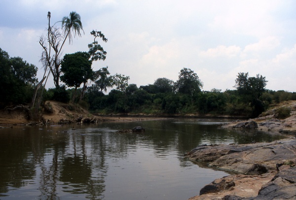 Mara River