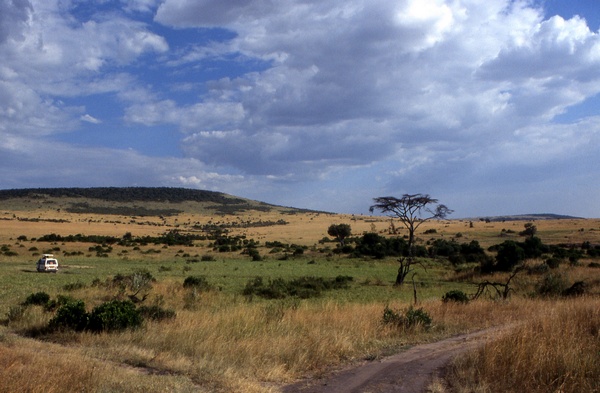 Masai Mara National Reserve