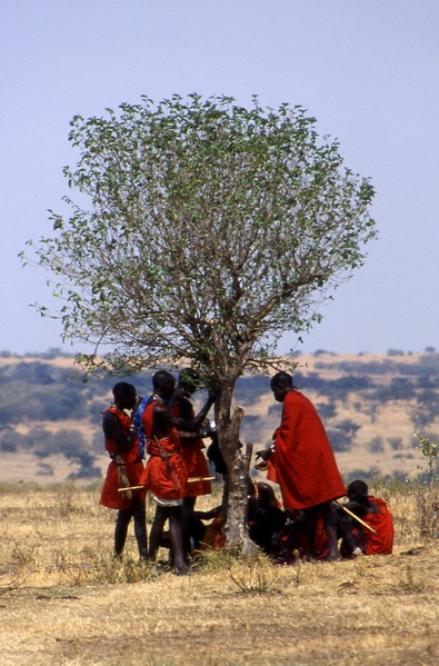 Masai People