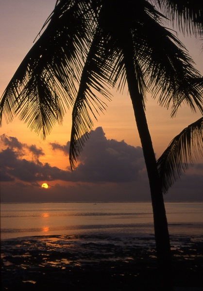 Zanzibar Sunset