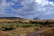 Masai Mara National Reserve