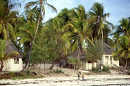 Zanzibar Beach