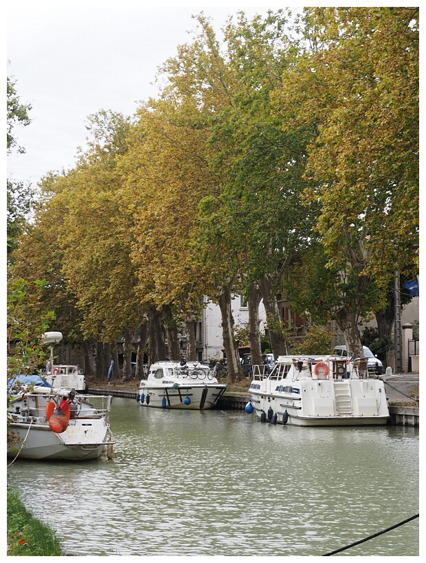 Canal du Midi