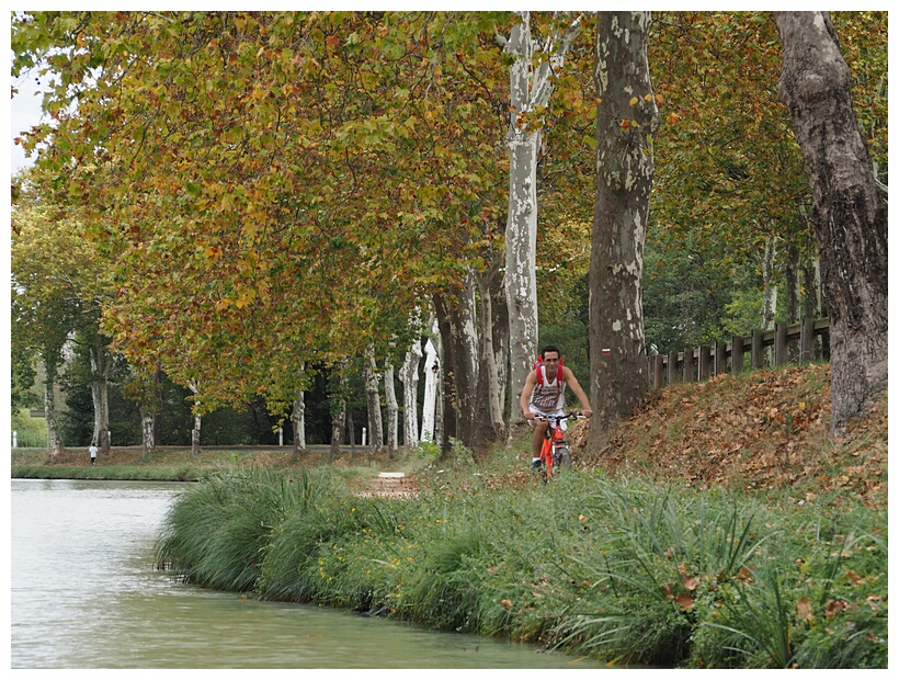 Canal du Midi