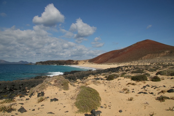 Arena Dorada