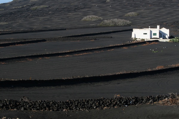 Negro Paisaje