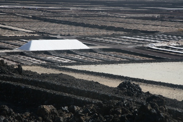 Salinas de Janubio