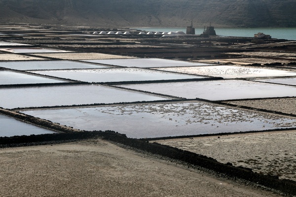 Salinas de Janubio