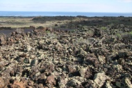 Lavas Volcnicas